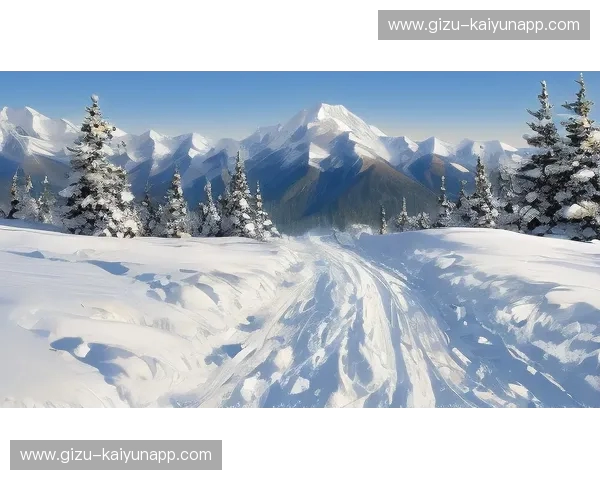 双城记：当雪山之巅遇见雨林迷雾——盐湖城与波特兰的终极博弈